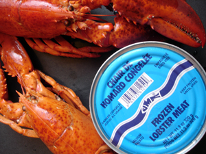 Lobster Meat - in 11,3 ounce and 2 lbs cans, UMF